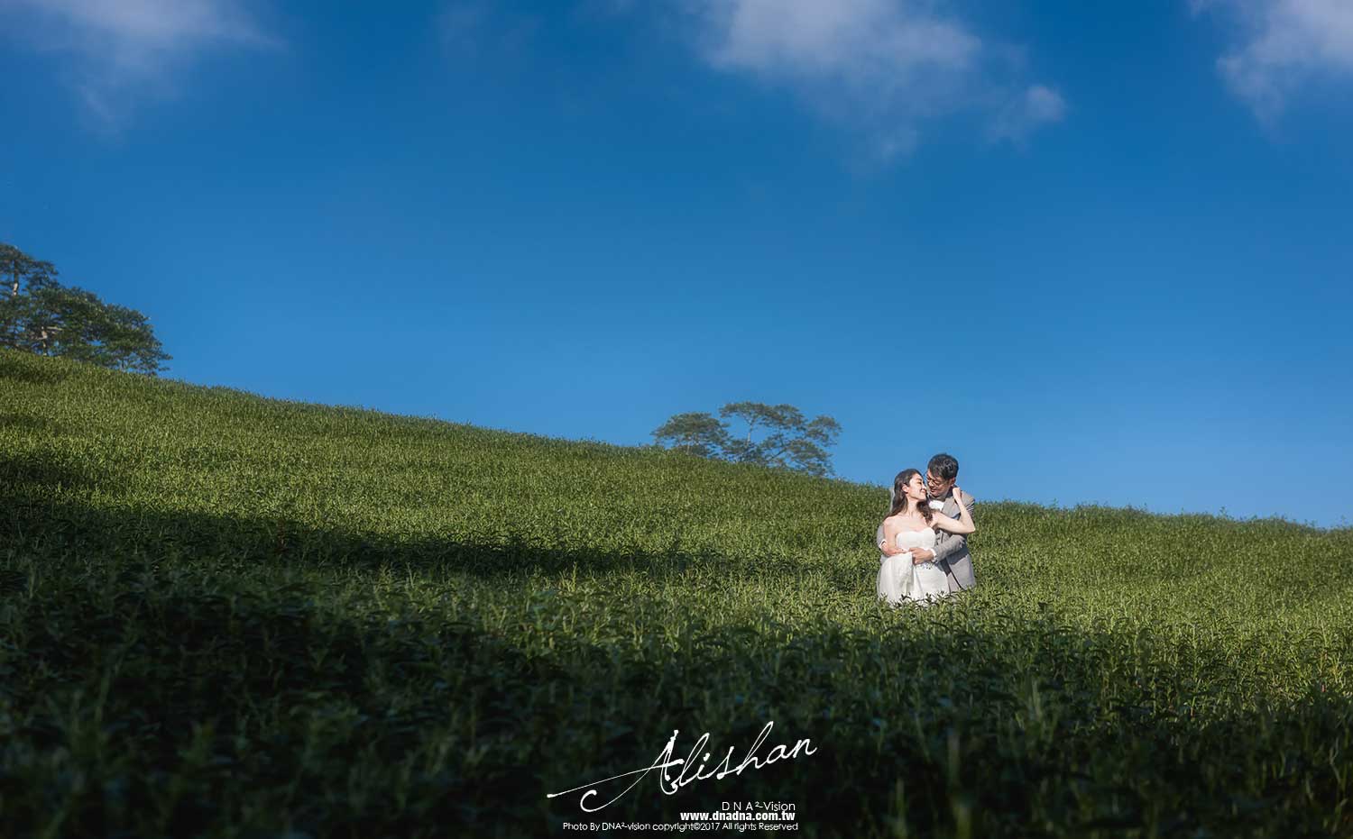 阿里山婚紗︱高雄婚攝dna平方自助婚紗封面